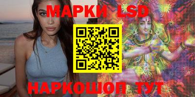 шишки Изобильный