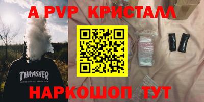 шишки Изобильный