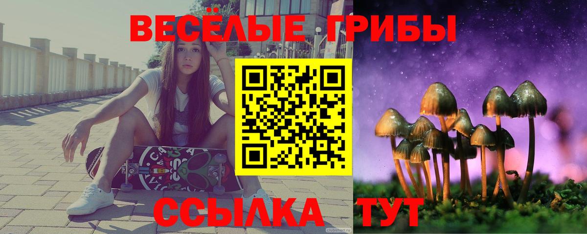 Галлюциногенные грибы прущие грибы  Вход с VPN  Псилоцибиновые грибы Psilocybe  Маркс 